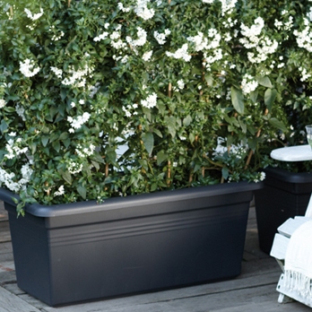 Elho Green Basics Garden XXL 100cm Levendig Zwart