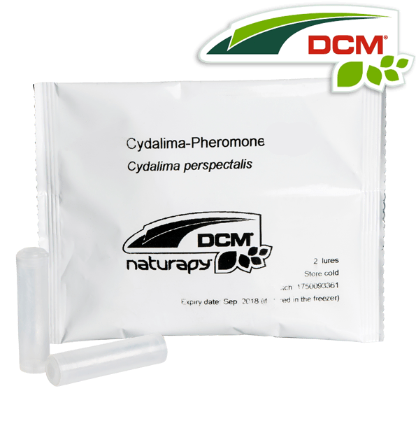 Feromonen tegen buxusmot DCM Naturapy 2st