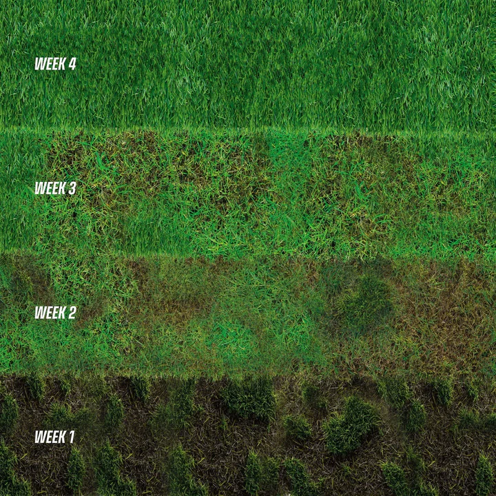 Ecostyle Gazonmax 15 kg – organische gazonmest voor 300 m² sterk en diepgroen gras