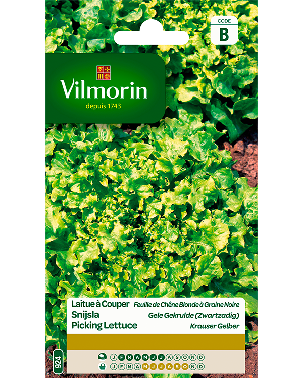 Vilmorin zaden Snijsla Gele gekrulde 4g