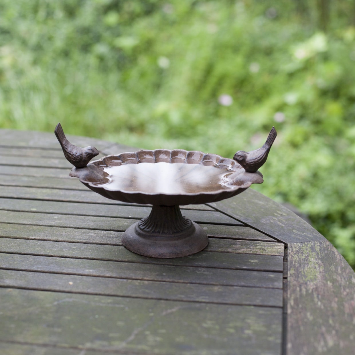 Decoratieve vogeldrinkbak op voet, gemaakt van gietijzer, ideaal voor watervoorziening of voeder voor tuinvogels.