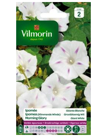 Bloemzaden Ipomea Grootbloemig Wit 6g