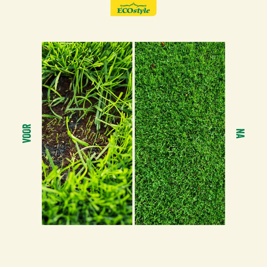 Engerlingen bestrijden met aaltjes (250 milj. - tot 500m²) 🐛 Engerlingen bestrijden met aaltjes (250 milj. - tot 500m²) 🐛