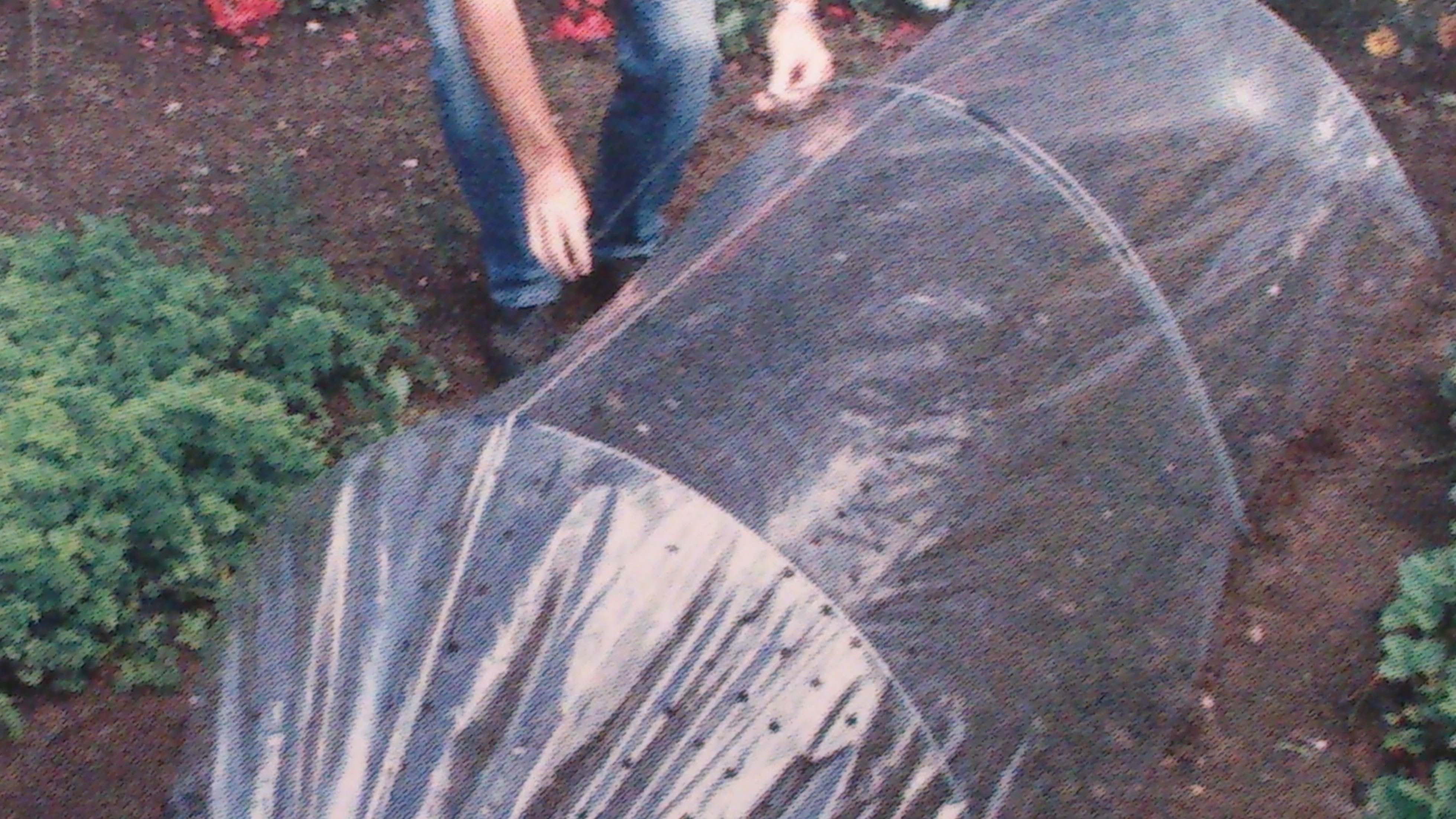 Kweektunnel met folie 3,5 x 1m