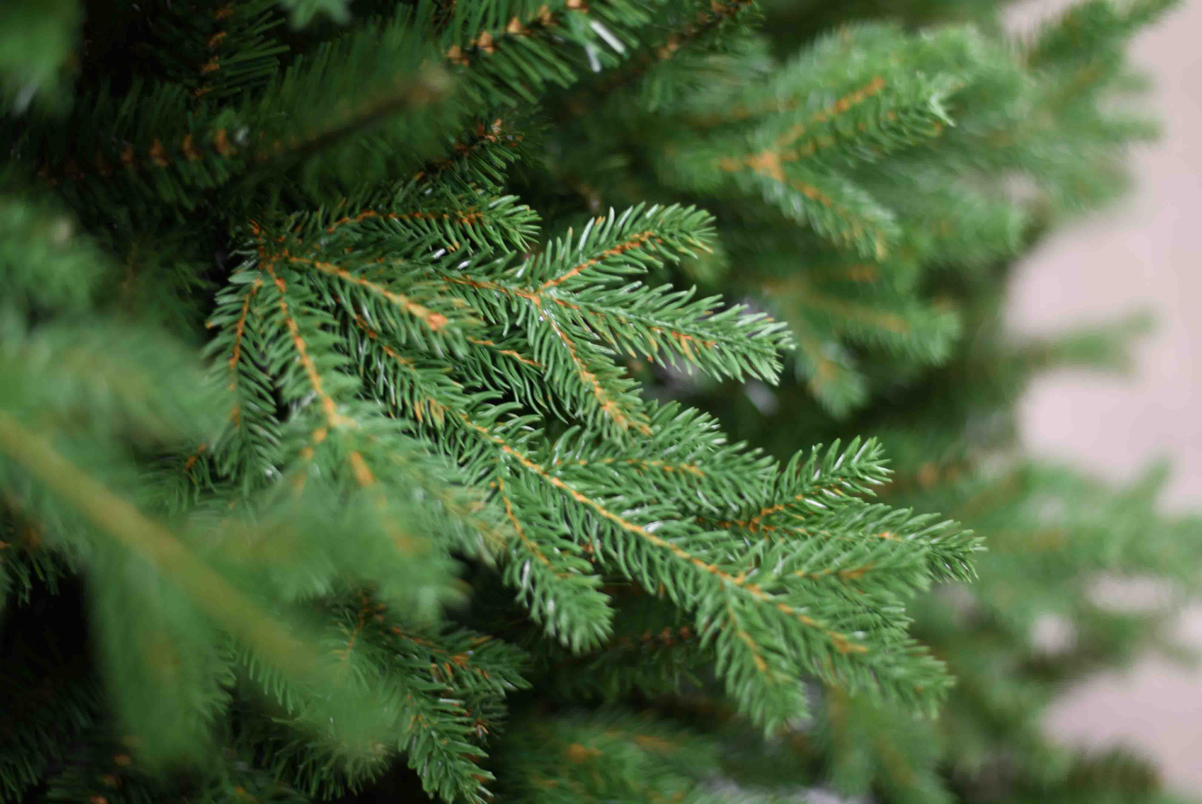 Realistische kunstkerstboom Buckingham 228cm – Natuurgetrouwe look