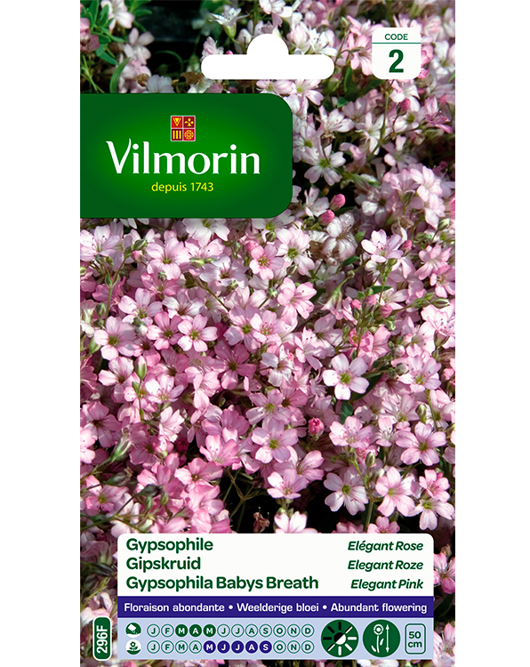 Bloemzaden Gipskruid Elegant roze 