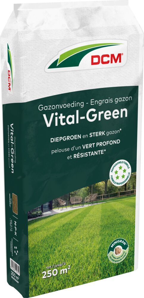 DCM Vital Green gazonmest met magnesium en ijzer 250m²