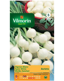 Vilmorin Ajuin zaden Barletta 4g