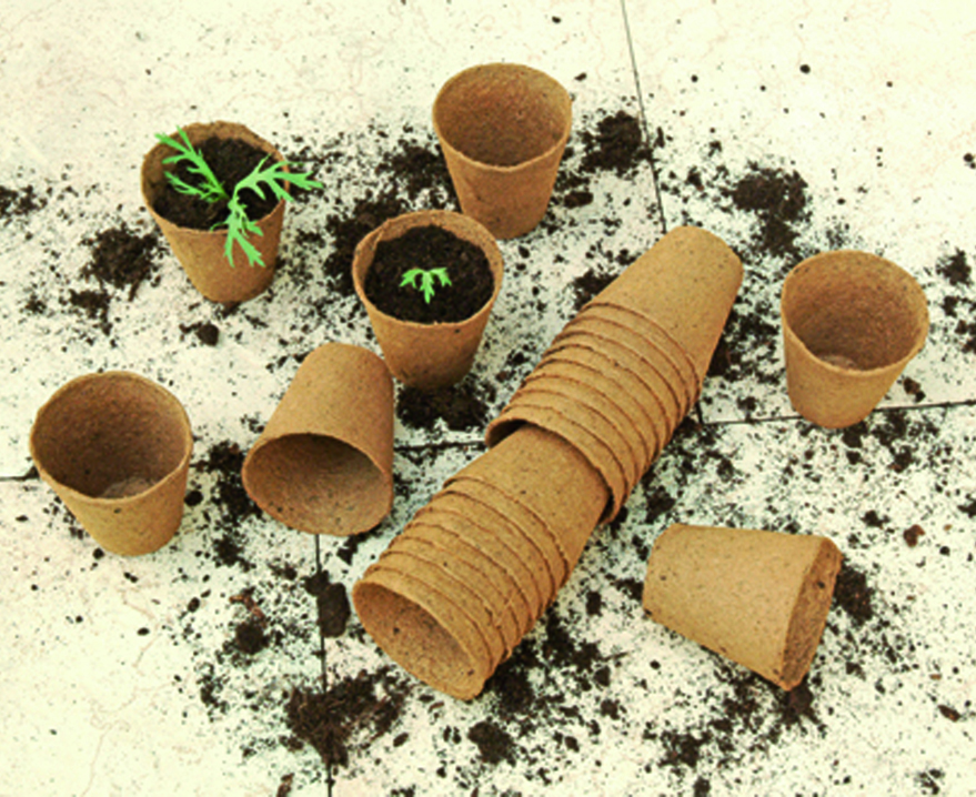  Alles voor het zaaien en kweken: turfpotten, jonge plantjes en potgrond.