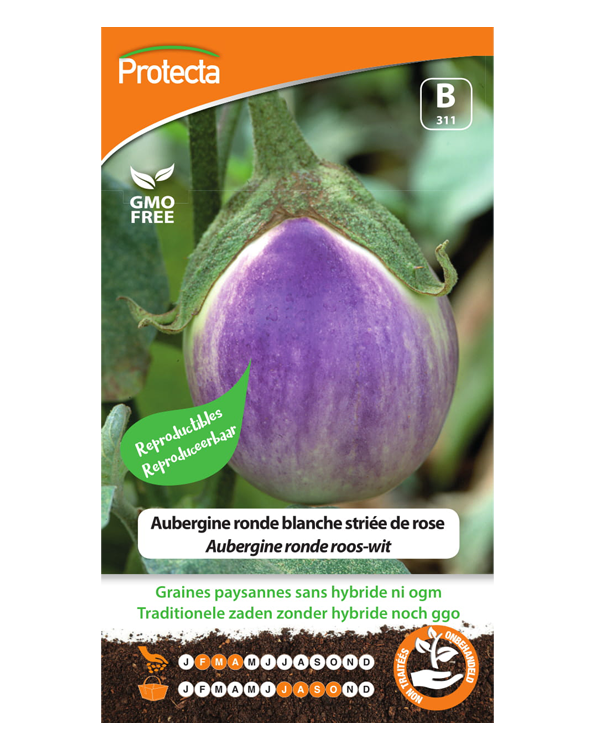 Zaadvast Aubergine Zaden Ronde roos-wit