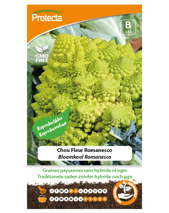 Zaadvaste Bloemkool Romanesco Zaden