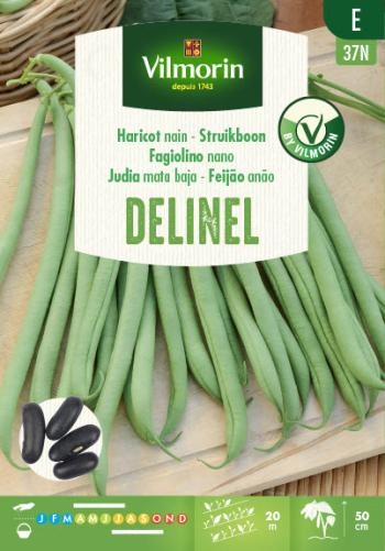 Vilmorin struikboon zaden Delinel 125g