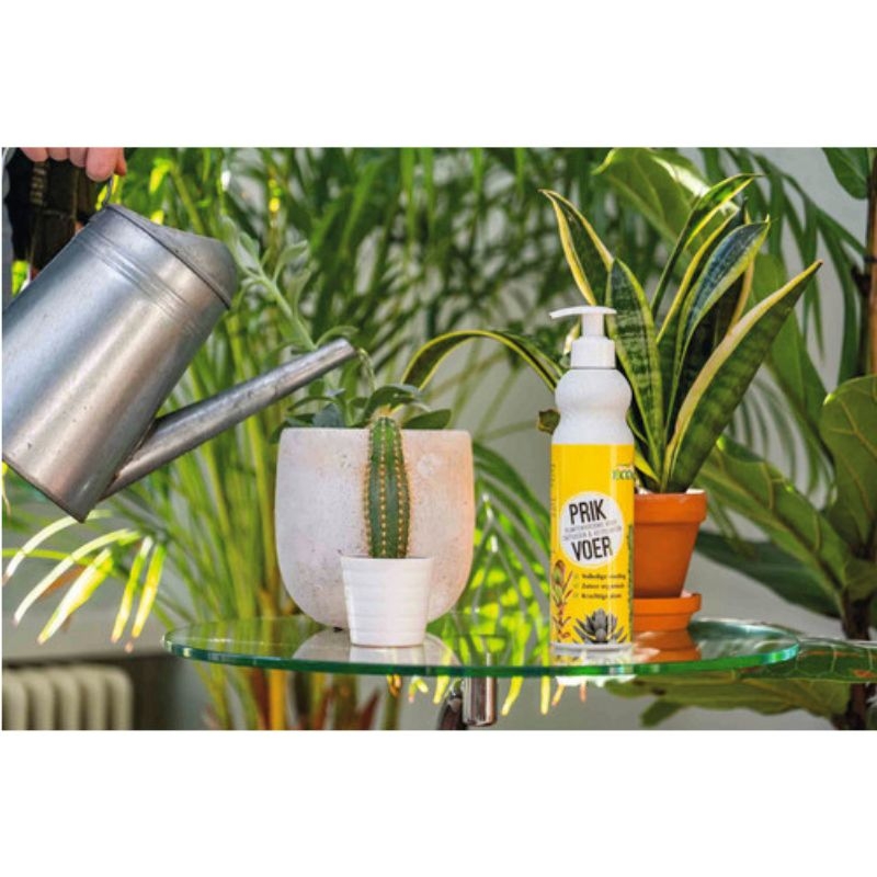 Ecostyle PrikVoer (400 ml): Een fles plantenvoeding staat naast een bloeiende cactus in een terracotta pot. De voeding is speciaal ontwikkeld voor cactussen en vetplanten en bevordert hun groei en weerstand.