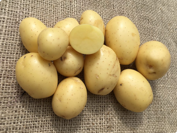 Pootaardappelen Lucera 1kg