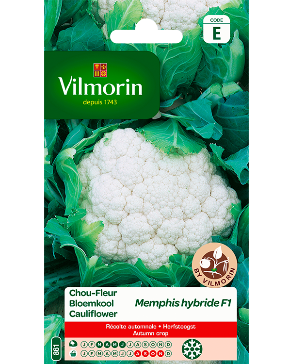 Vilmorin Bloemkool zaden Memphis Hf1 0,5g