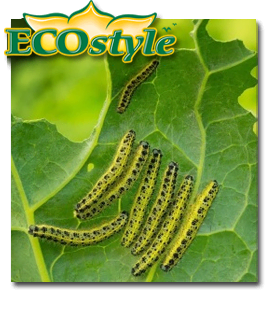 Ecostyle Aaltjes tegen rupsen 60m²