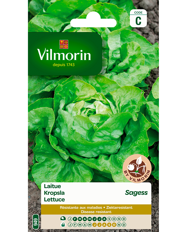 Vilmorin Zaden Kropsla Sagess ziekteresistent 3g