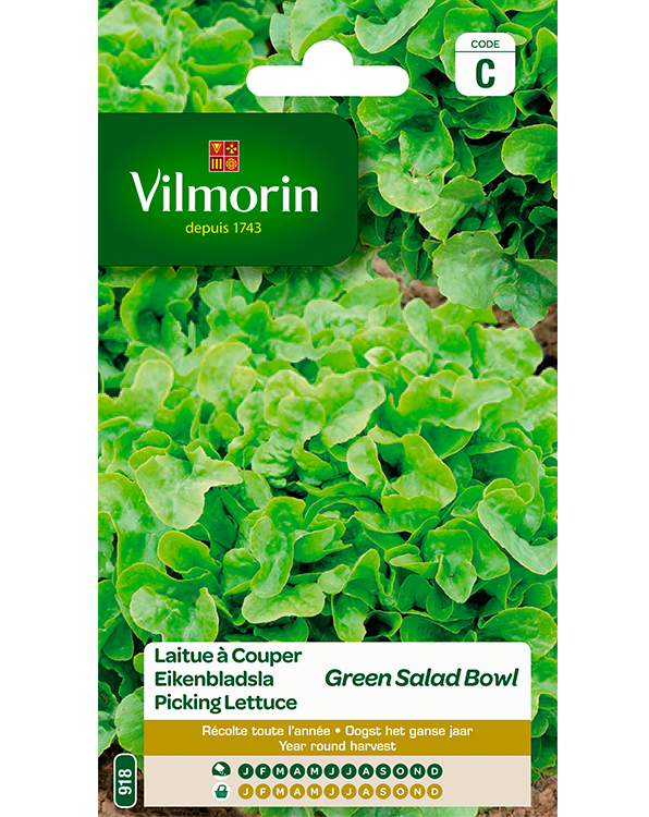 Vilmorin Eikenbladsla zaden Groene Eikeblad 4g