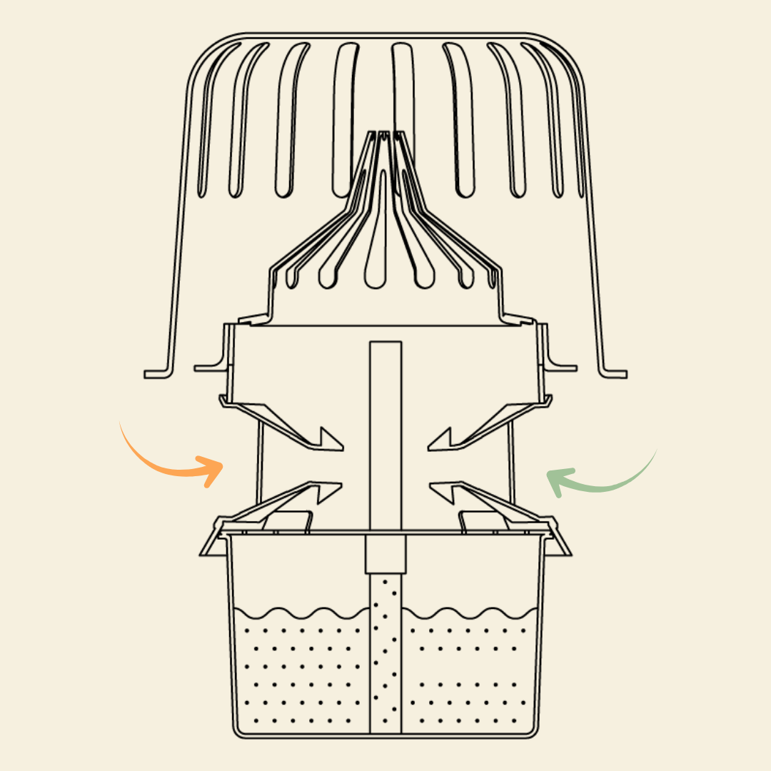 🐝 Aziatische hoornaar vangen | Kit met selectieve val inclusief lokstof
