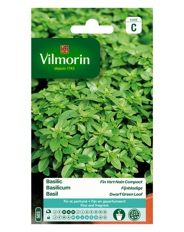 Vilmorin Zaden Basilicum fijnbladige 