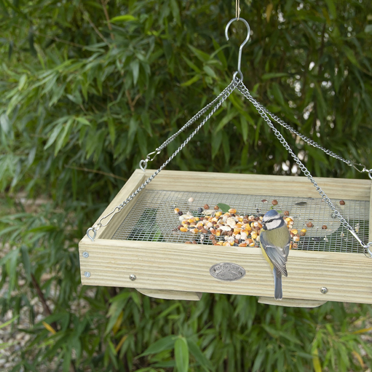 Een houten vogelvoedertafel hangt aan kettingen in een groene tuin. Een pimpelmees eet van het voer op de tafel.