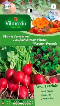 Vilmorin Zaden Radijs Ronde Scharlakenrode + Sla