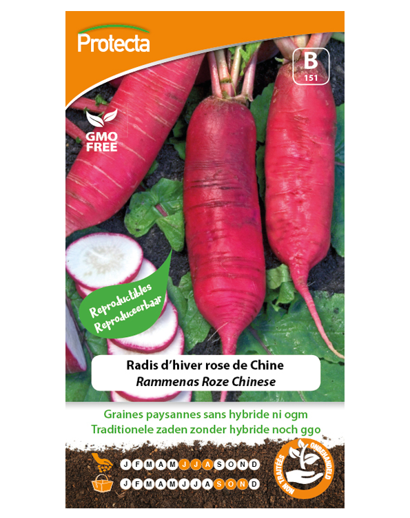Zaadvaste Rammenas Zaden Roze Chinese 