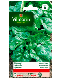 Vilmorin Zaden Spinazie Winterreuzen 15g