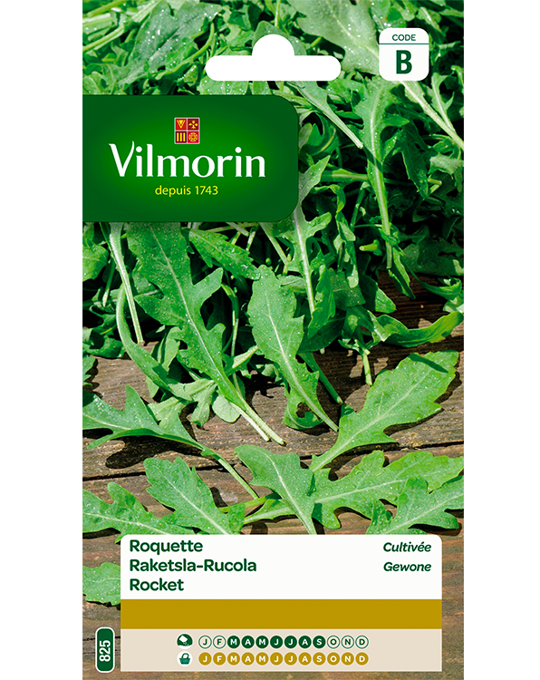 Vilmorin Raketsla zaden Rucola 5g