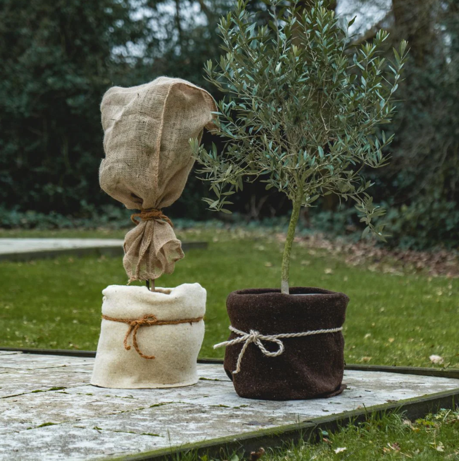 Schapenwol beschermingsmat (50cm x 150cm) donker bruin – optimale plantbescherming 🌱