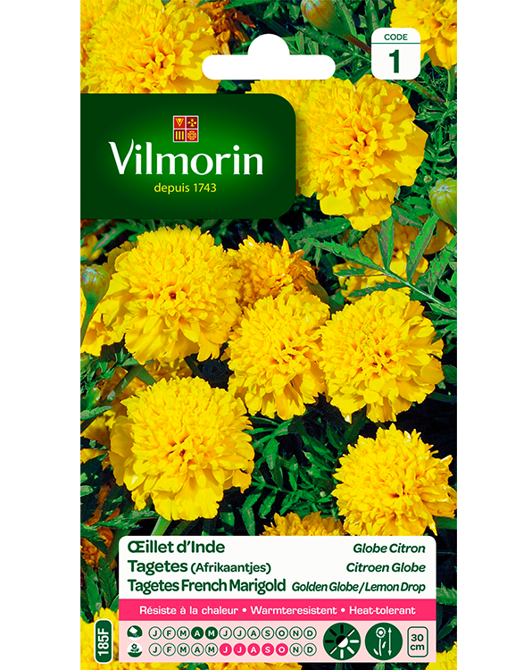 Bloemzaden Tagetes Citroen Globe 1g
