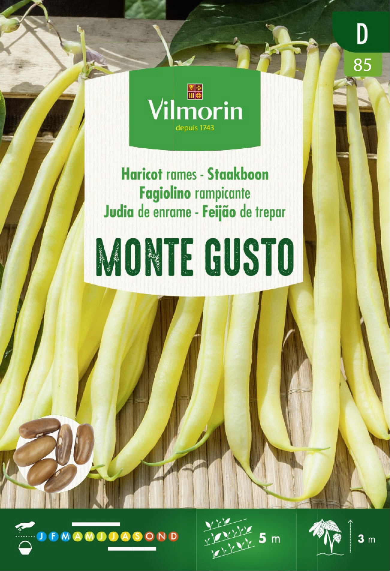 Vilmorin zaden Staakboon Monte Gusto