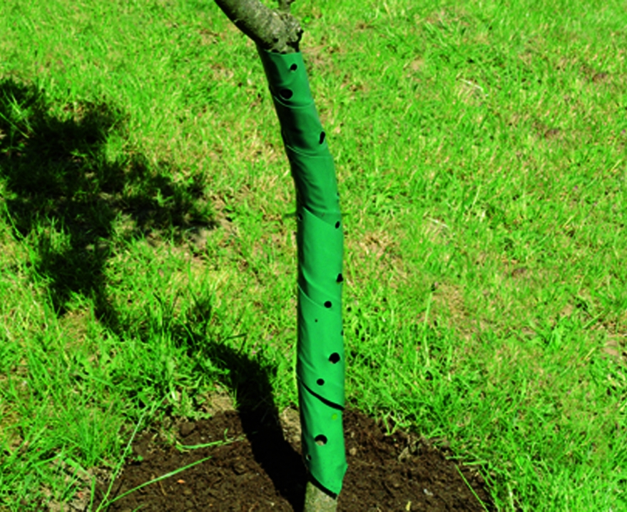 Bomen beschermen tegen vraat 2 stuks