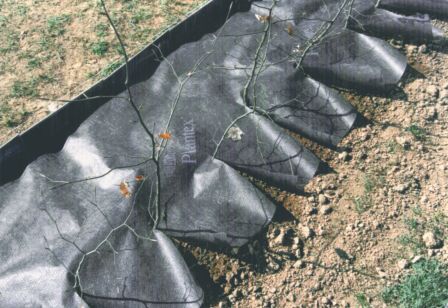 Plantex premium haagdoek 0,5m x 20m