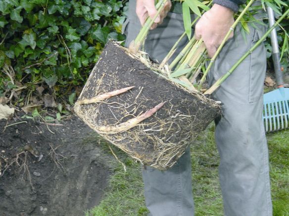 Wortelbegrenzer bamboe 0,7m x 5m