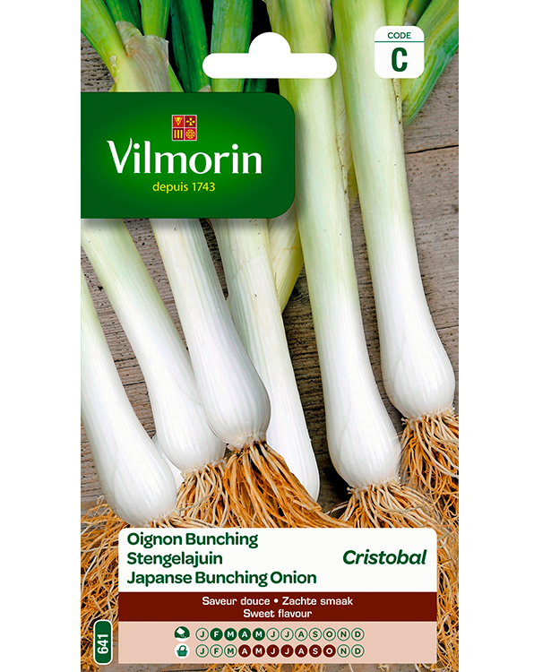 Vilmorin Zaden Stengelajuin Freddy 3g