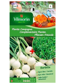 Vilmorin Zaden Complementaire Planten Ajuin Barletta 2,4g