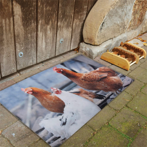 Een deurmat met een levensechte fotoprint van drie kippen, een witte en twee bruine.