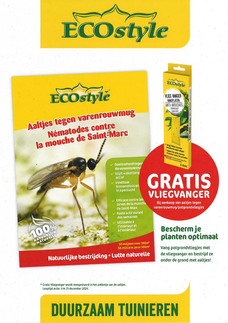 ECOstyle aaltjes tegen varenrouwmug met gratis vliegenvanger. Natuurlijke en effectieve bestrijding van varenrouwmuglarven in potgrond