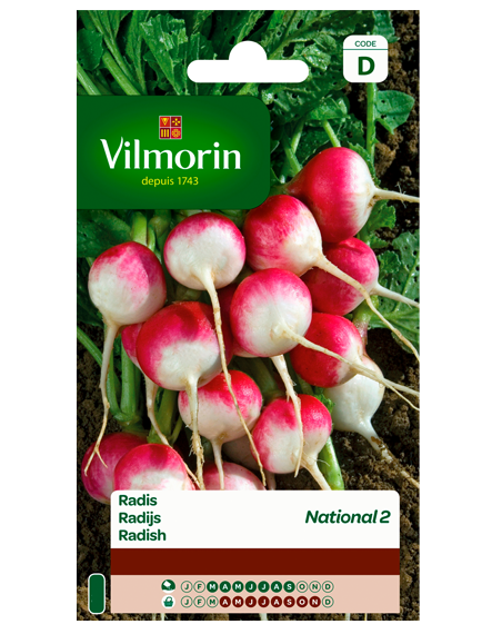 Vilmorin Radijs zaden in grootverpakking National 2 30g