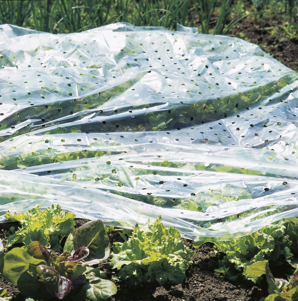 Tunnelfolie moestuin 10 x 1,5m