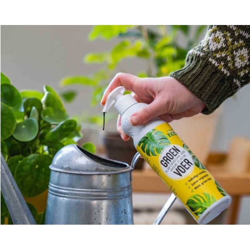 Ecostyle GroenVoer (400 ml): Organische plantenvoeding voor groene kamerplanten. Bevordert de groei, versterkt de plant en zorgt voor een intense groene kleur