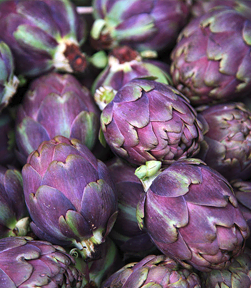 Vilmorin Zaden Artisjok Violet de Provence 2g