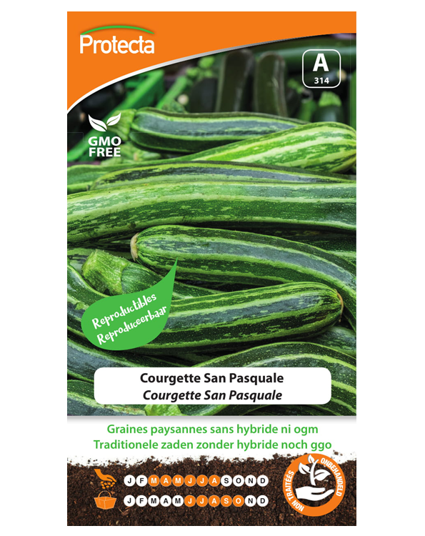 Zaadvaste Courgette Zaden San Pasquale