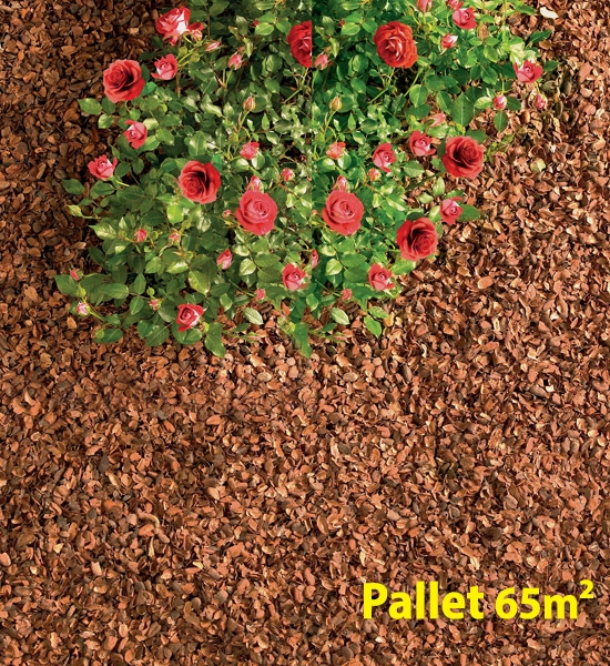 DCM Cacaodoppen per pallet