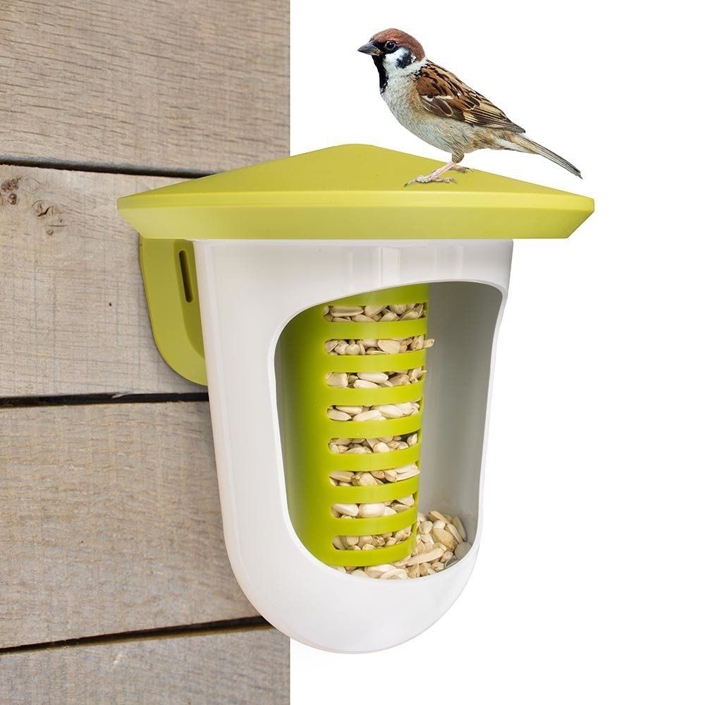 Vogelvoer vetpellets met insecten