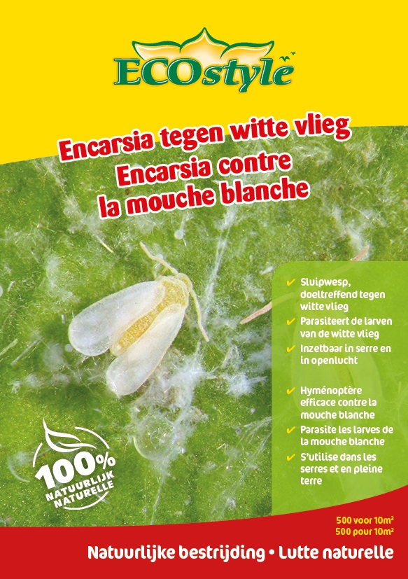 Ecostyle Sluipwesp tegen witte vliegen (500 st.)