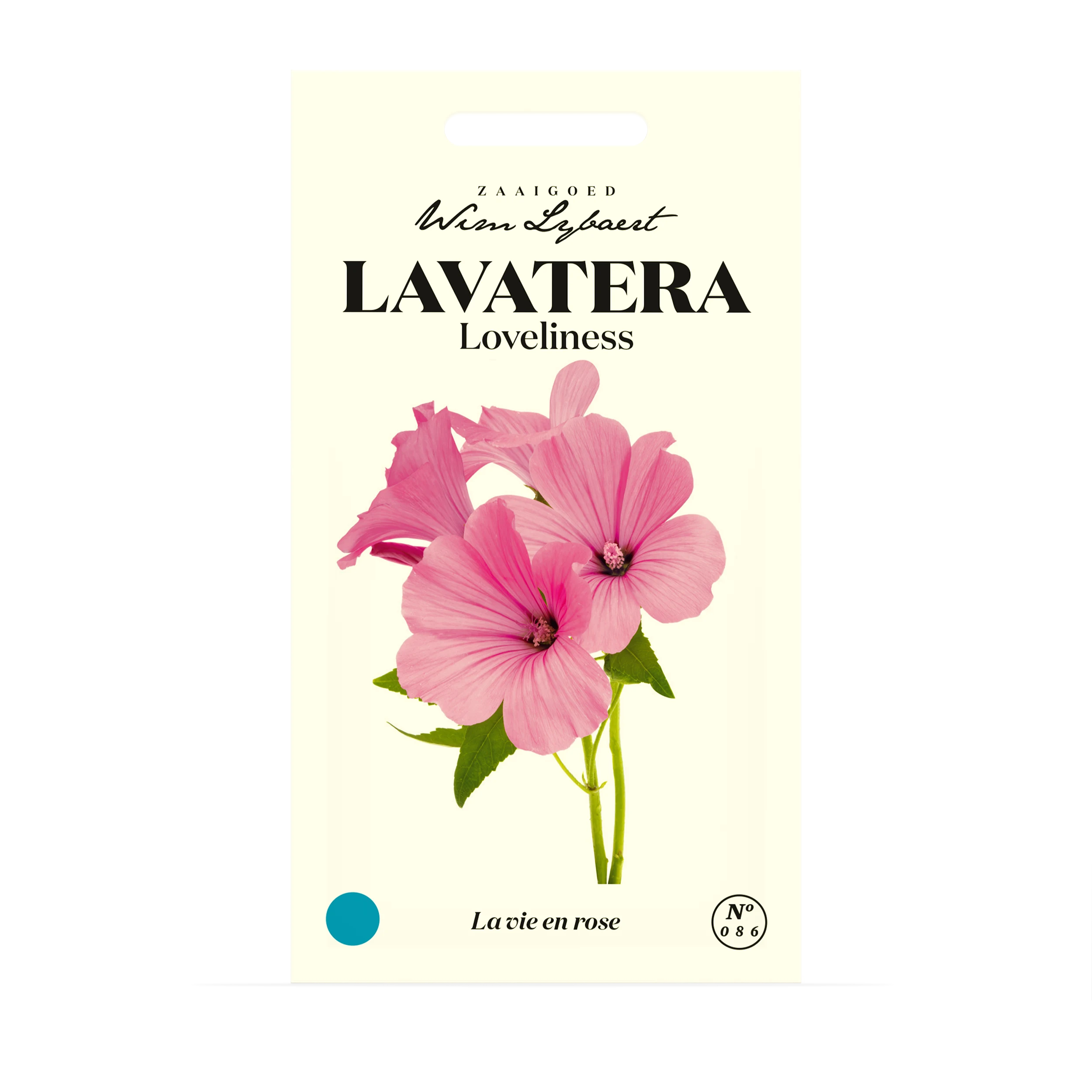 Wim Lybaert bloemzaden | Lavatera Loveliness 🌸 Wim Lybaert bloemzaden | Lavatera Loveliness 🌸