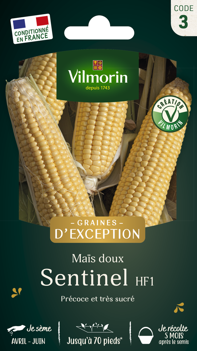 🌽 Suikermaïs - Vilmorin Sentinel HF1 - Extra zoet