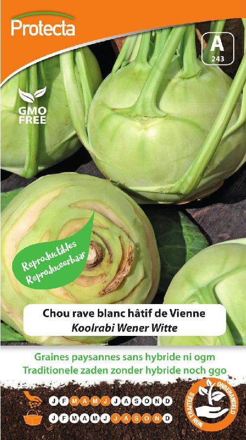 Zaadvast Koolrabi Wener Witte zaden 